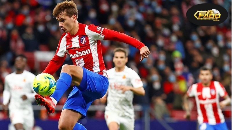 Tìm hiểu về cá cược thể thao